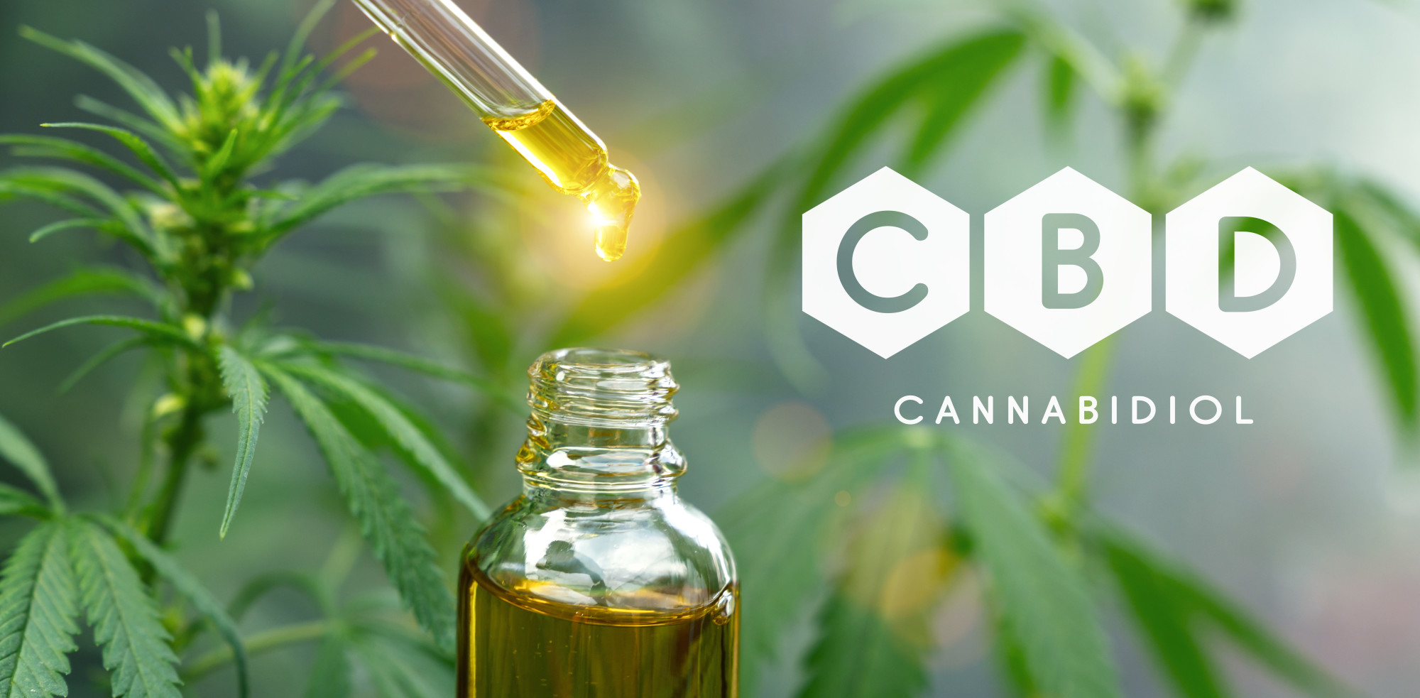 Is The Hype About CBD, Or Cannabidiol, Real?